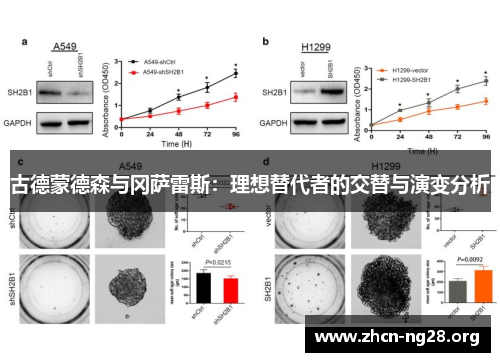 古德蒙德森与冈萨雷斯:理想替代者的交替与演变分析 古德蒙德森与冈萨雷斯:理想替代者的交替与演变分析