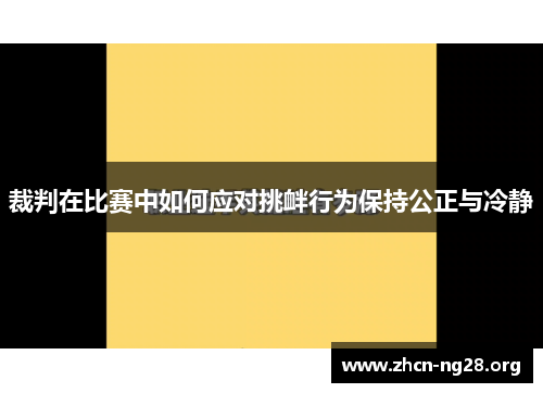 裁判在比赛中如何应对挑衅行为保持公正与冷静